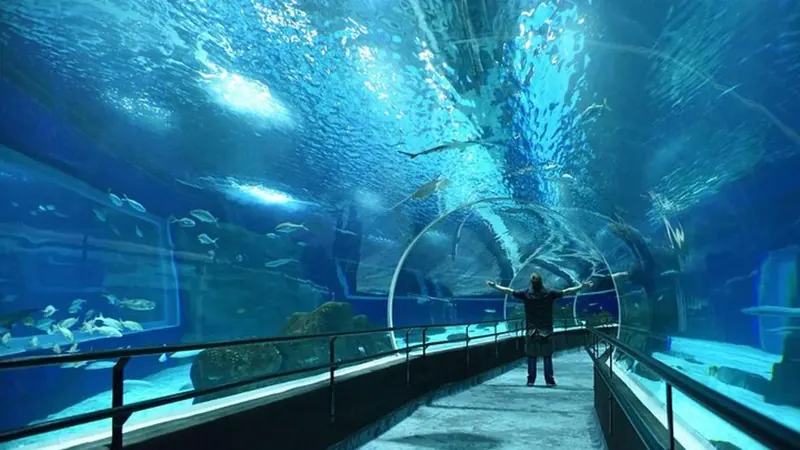 Eintritt ins AquaRio, das Aquarium von Rio